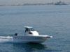 MFC215HT
