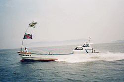 MW43